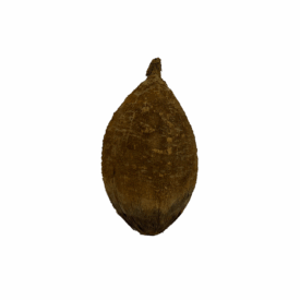 Imagem padrão